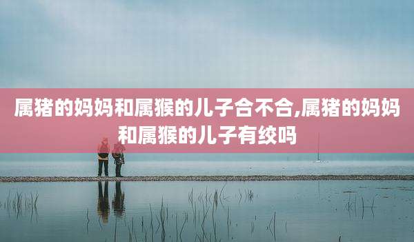 属猪的妈妈和属猴的儿子合不合,属猪的妈妈和属猴的儿子有绞吗