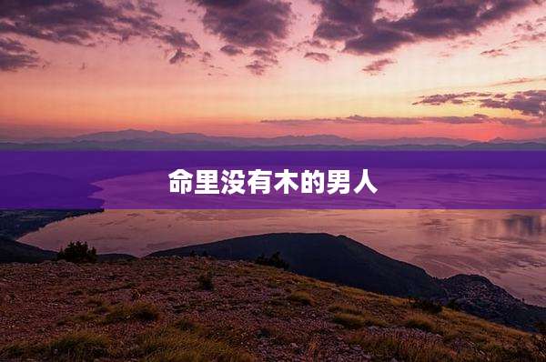 命里没有木的男人