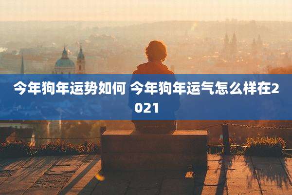 今年狗年运势如何 今年狗年运气怎么样在2021
