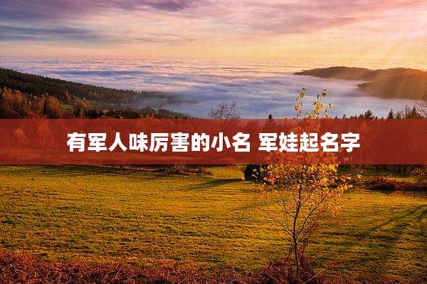 有军人味厉害的小名 军娃起名字