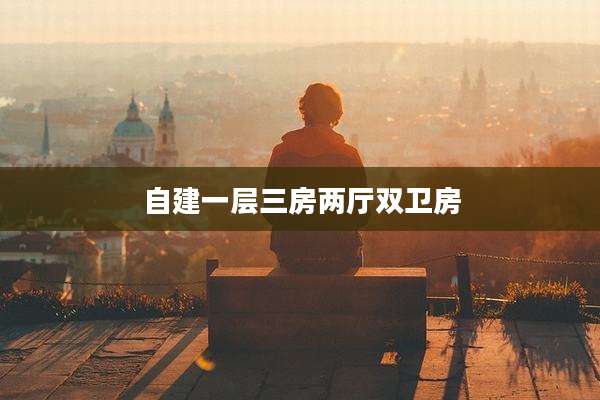 自建一层三房两厅双卫房