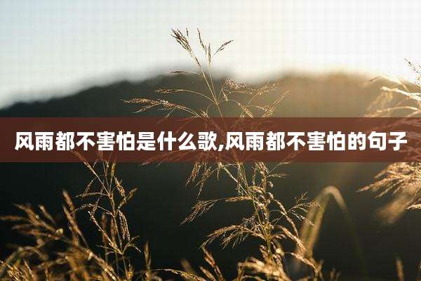 风雨都不害怕是什么歌,风雨都不害怕的句子