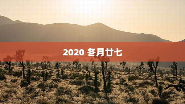 2020 冬月廿七