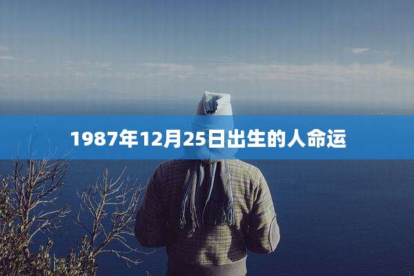 1987年12月25日出生的人命运