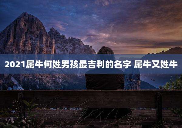 2021属牛何姓男孩最吉利的名字 属牛又姓牛
