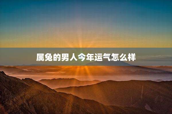 属兔的男人今年运气怎么样