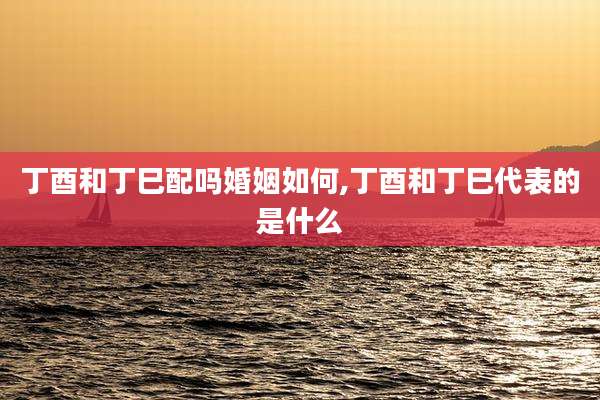 丁酉和丁巳配吗婚姻如何,丁酉和丁巳代表的是什么