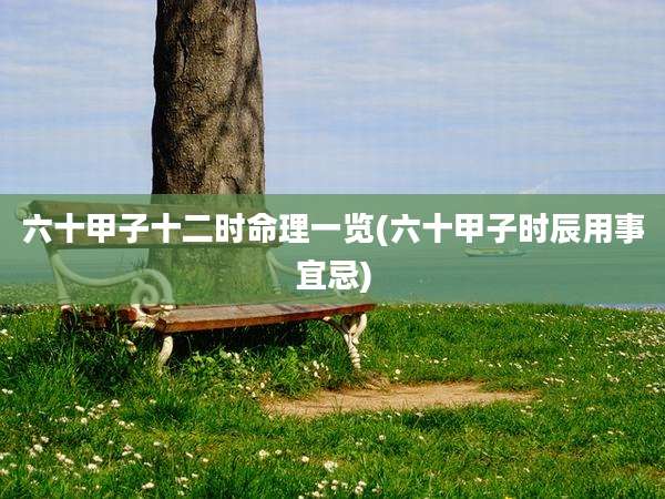 六十甲子十二时命理一览(六十甲子时辰用事宜忌)