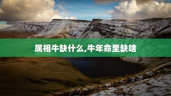 属相牛缺什么,牛年命里缺啥