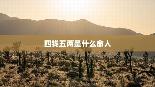 四钱五两是什么命人