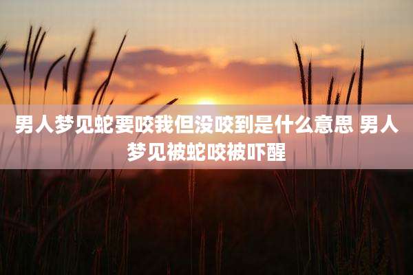 男人梦见蛇要咬我但没咬到是什么意思 男人梦见被蛇咬被吓醒