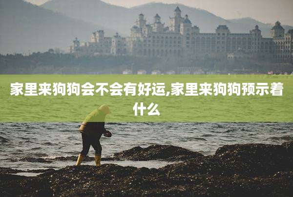 家里来狗狗会不会有好运,家里来狗狗预示着什么