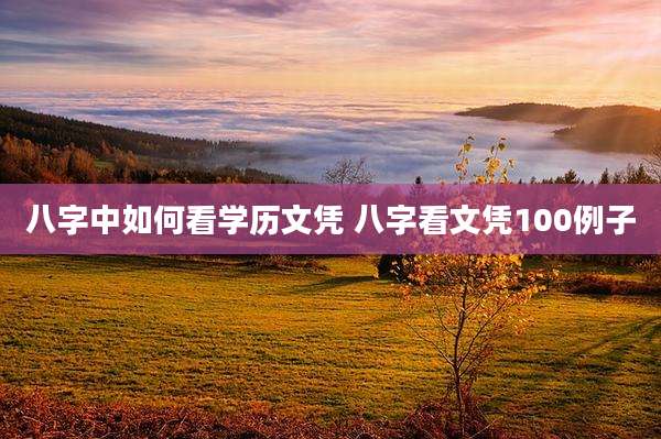 八字中如何看学历文凭 八字看文凭100例子