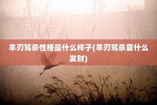 羊刃驾杀性格是什么样子(羊刃驾杀靠什么发财)