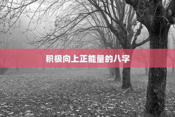 积极向上正能量的八字