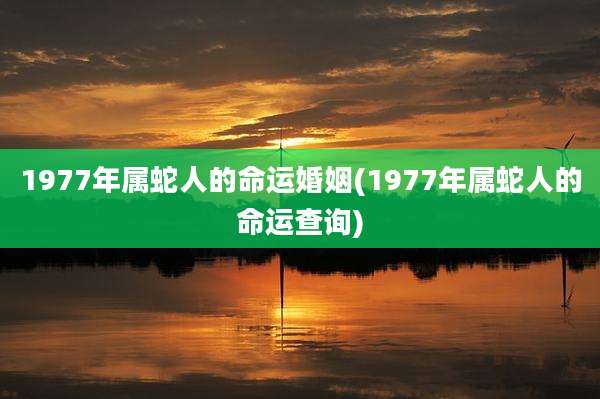 1977年属蛇人的命运婚姻(1977年属蛇人的命运查询)
