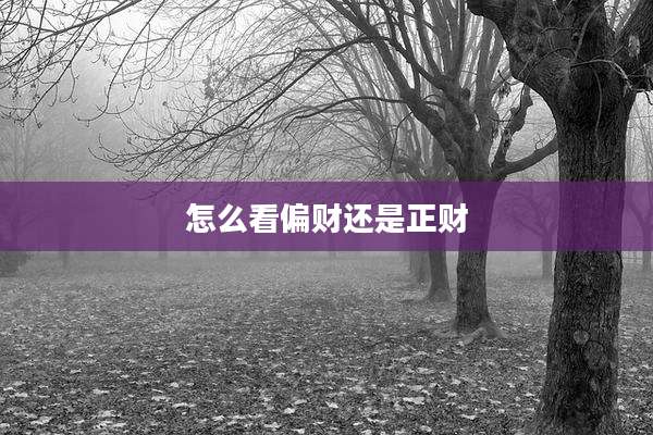 怎么看偏财还是正财