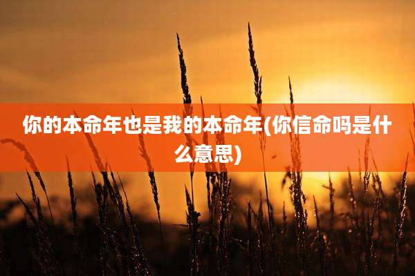 你的本命年也是我的本命年(你信命吗是什么意思)