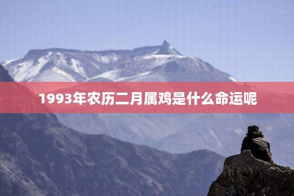 1993年农历二月属鸡是什么命运呢