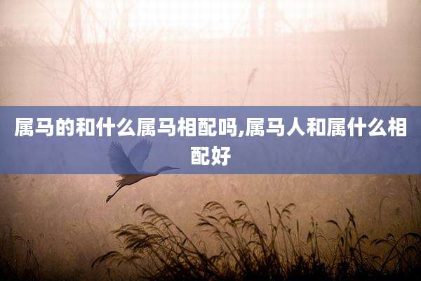 属马的和什么属马相配吗,属马人和属什么相配好