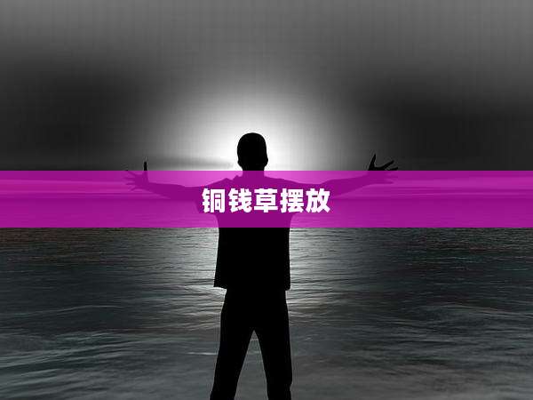 铜钱草摆放