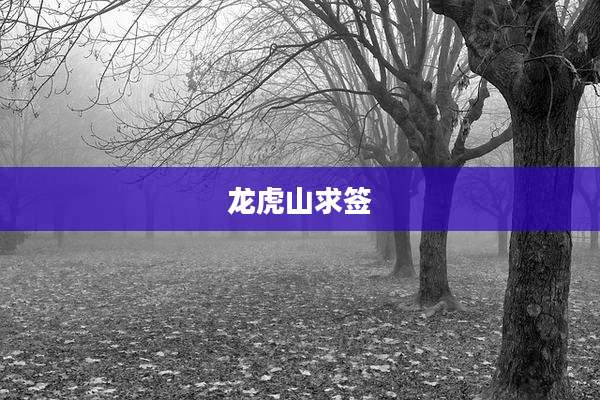 龙虎山求签