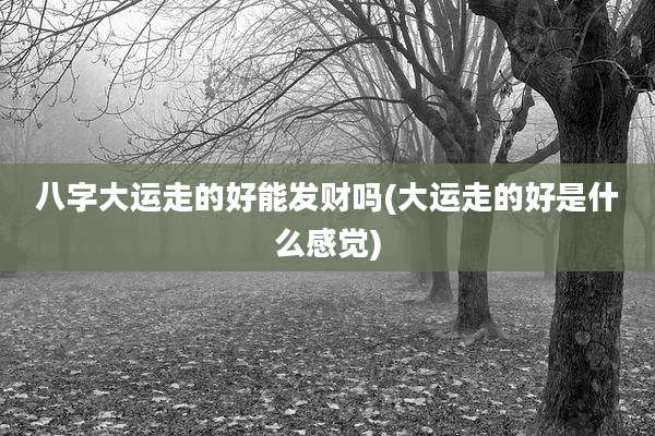 八字大运走的好能发财吗(大运走的好是什么感觉)