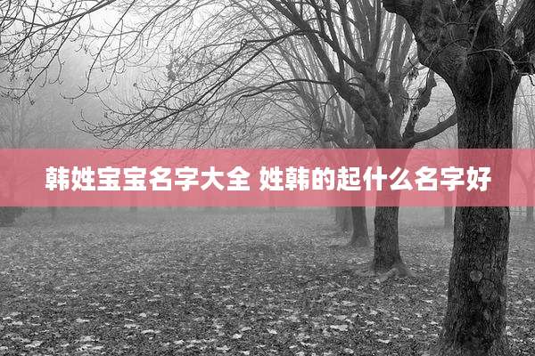 韩姓宝宝名字大全 姓韩的起什么名字好
