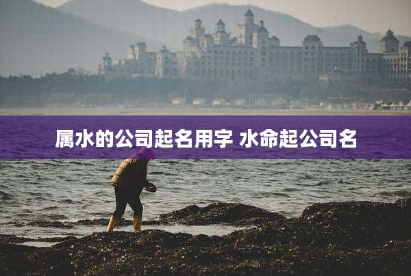 属水的公司起名用字 水命起公司名