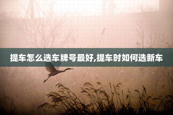 提车怎么选车牌号最好,提车时如何选新车