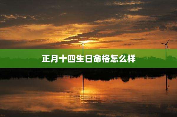 正月十四生日命格怎么样