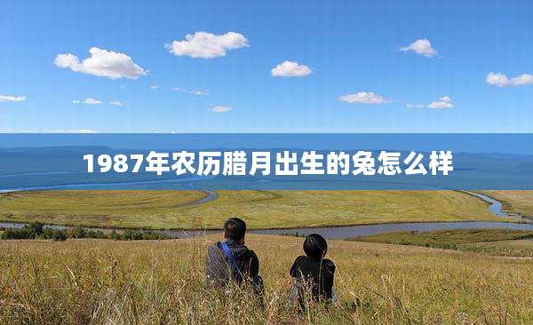 1987年农历腊月出生的兔怎么样