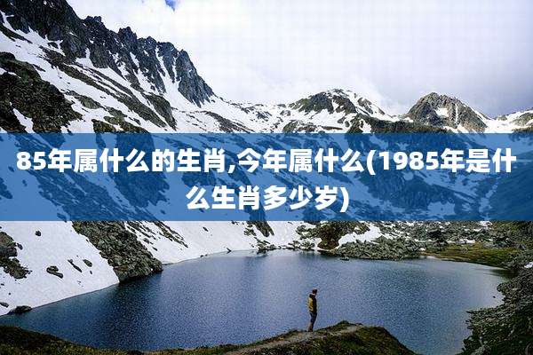 85年属什么的生肖,今年属什么(1985年是什么生肖多少岁)