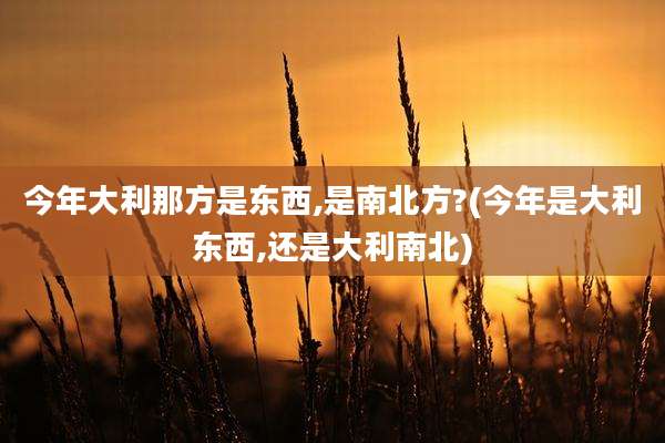 今年大利那方是东西,是南北方?(今年是大利东西,还是大利南北)