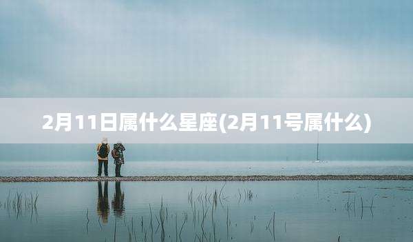 2月11日属什么星座(2月11号属什么)