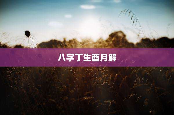 八字丁生酉月解