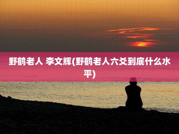 野鹤老人 李文辉(野鹤老人六爻到底什么水平)