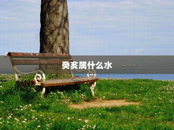 癸亥属什么水
