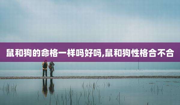 鼠和狗的命格一样吗好吗,鼠和狗性格合不合