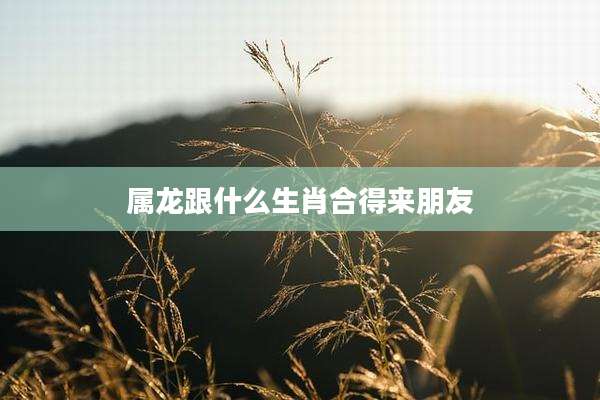 属龙跟什么生肖合得来朋友