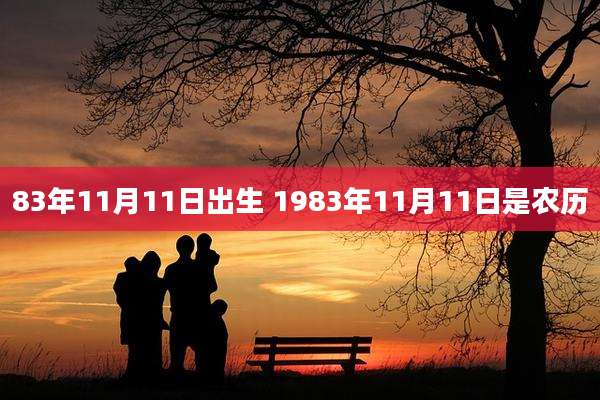 83年11月11日出生 1983年11月11日是农历