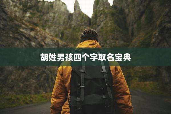 胡姓男孩四个字取名宝典
