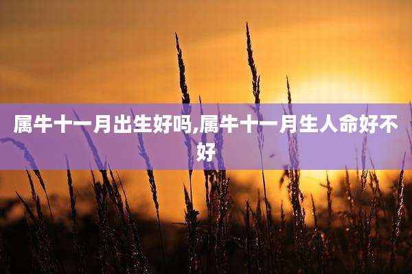属牛十一月出生好吗,属牛十一月生人命好不好