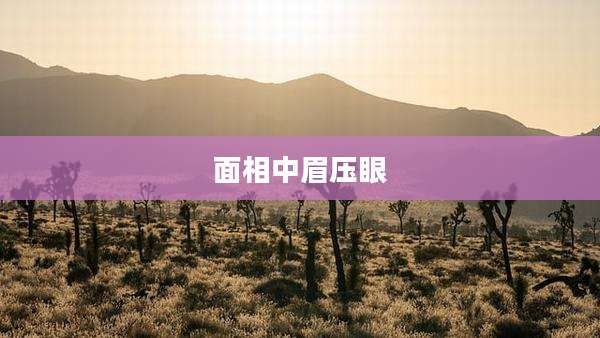 面相中眉压眼