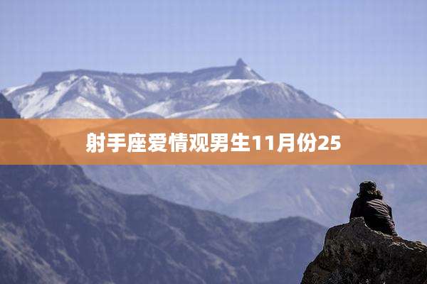 射手座爱情观男生11月份25