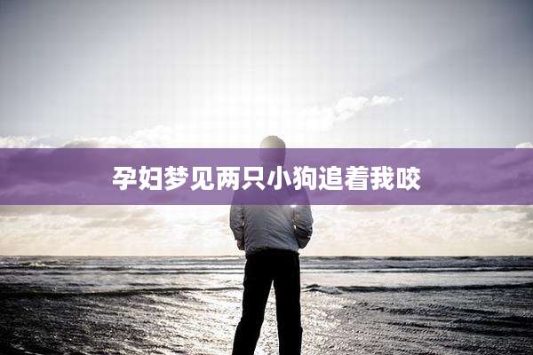 孕妇梦见两只小狗追着我咬