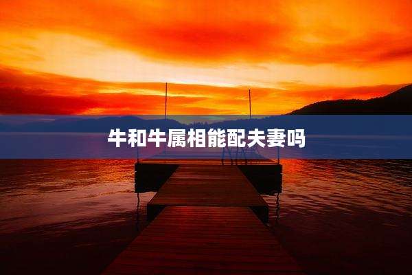 牛和牛属相能配夫妻吗
