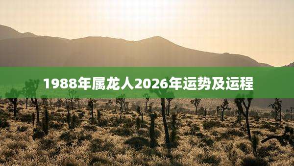 1988年属龙人2026年运势及运程
