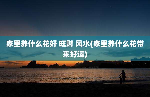 家里养什么花好 旺财 风水(家里养什么花带来好运)