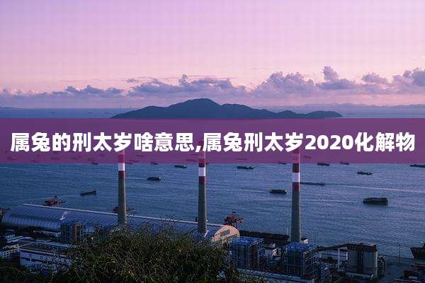 属兔的刑太岁啥意思,属兔刑太岁2020化解物